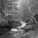 DSCN1976