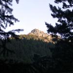 DSCN1985