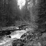 DSCN1990