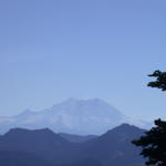 DSCN6518