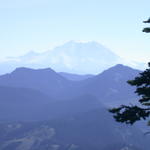 DSCN6519