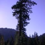 DSCN6530