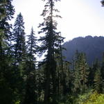 DSCN6532