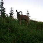 DSCN1705