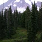 DSCN1706
