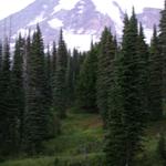 DSCN1707
