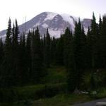 DSCN1708