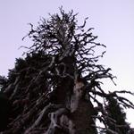 DSCN1713