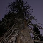 DSCN1714