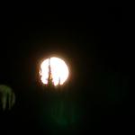 DSCN1728