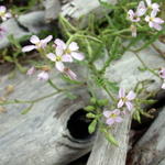 DSCN5094