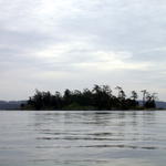 DSCN5098