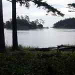 DSCN5105