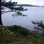 DSCN5114