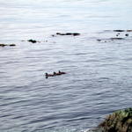 DSCN5119