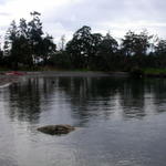 DSCN5120