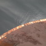 DSCN5129