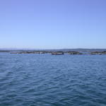 DSCN5531
