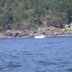 DSCN5540
