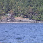 DSCN5546