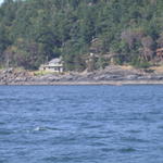 DSCN5548
