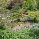 DSCN5556