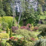 DSCN5557