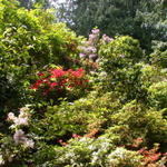 DSCN5562
