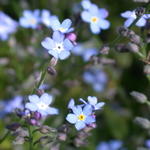 DSCN5565