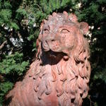 DSCN5848