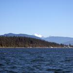 IMG_4730.jpg