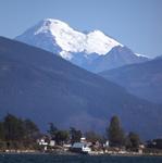 IMG_4731.jpg