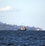 IMG_4732.jpg