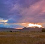 IMG_3164