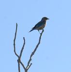 IMG_3280