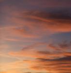 IMG_3359