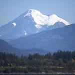 IMG_4738.jpg