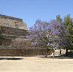 Monte Alban