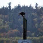 IMG_4742.jpg