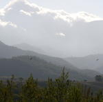 Rte 175 to San Jose Del Pacifico
