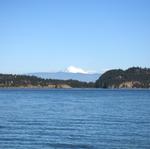 IMG_4745.jpg
