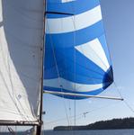 IMG_4746.jpg